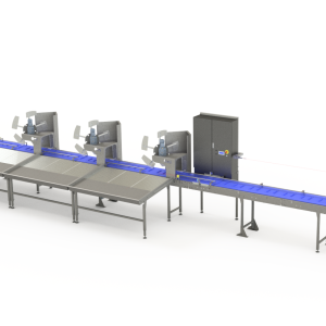 ZTI Cabage Sorting line_20200602105857